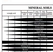 Fertilizer Ppm Chart