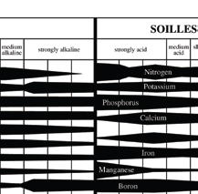 Ph And Nutrient Uptake Charts