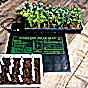 HydroFarm Seedling Heat Mat